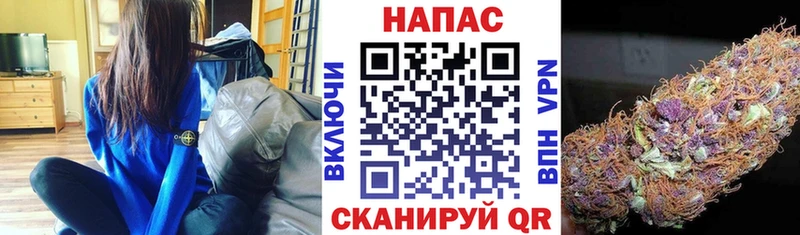 Канабис планчик  MEGA как зайти  Зерноград 